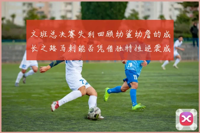 文班总决赛失利回顾幼鲨幼詹的成长之路马刺能否凭借独特性逆袭成功