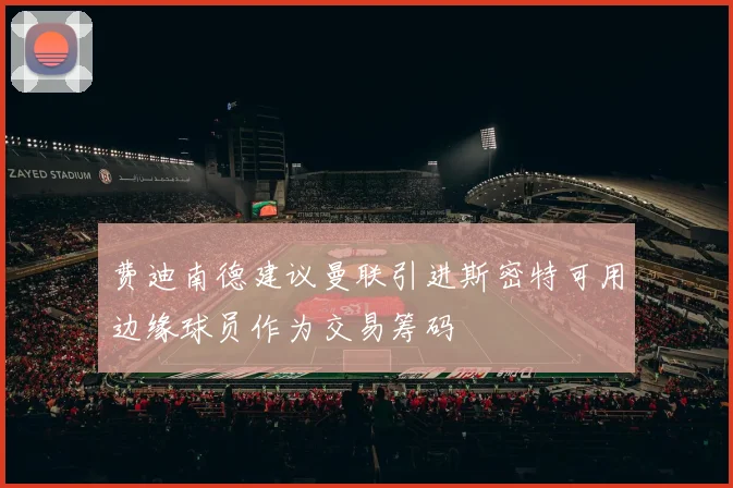 费迪南德建议曼联引进斯密特可用边缘球员作为交易筹码